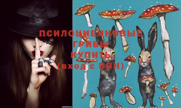 круглые Аркадак
