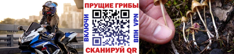 Галлюциногенные грибы Magic Shrooms  купить  сайты  Суоярви 